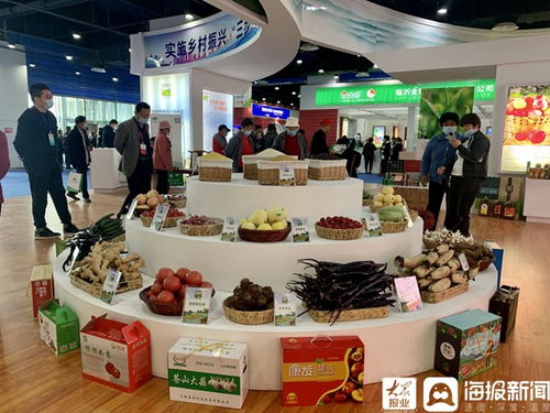 第九屆蘭陵蒼山蔬菜產業博覽會暨第九屆沂蒙優質農產品交易會盛大開幕